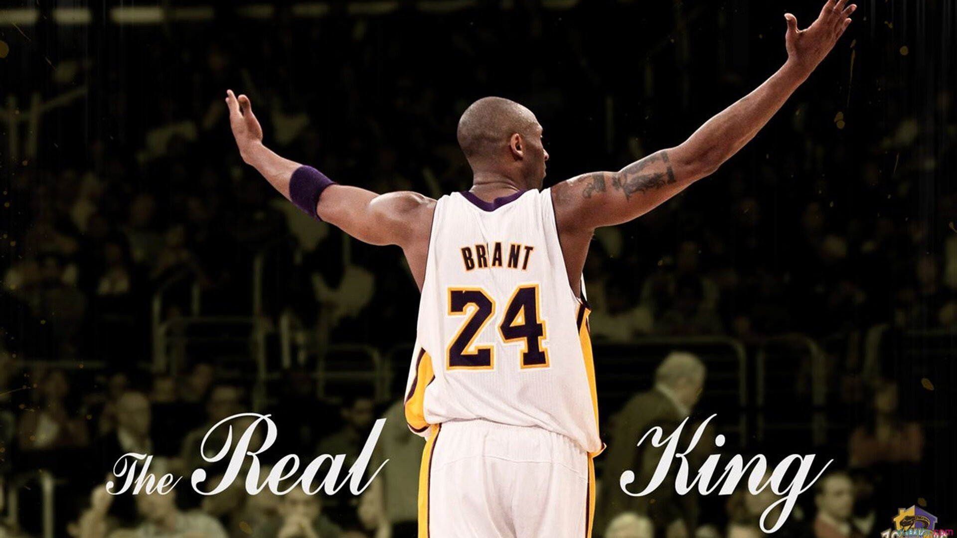 格斗UFC:顶尖对决燃爆擂台,让人目不暇接!,顶级ufc比赛