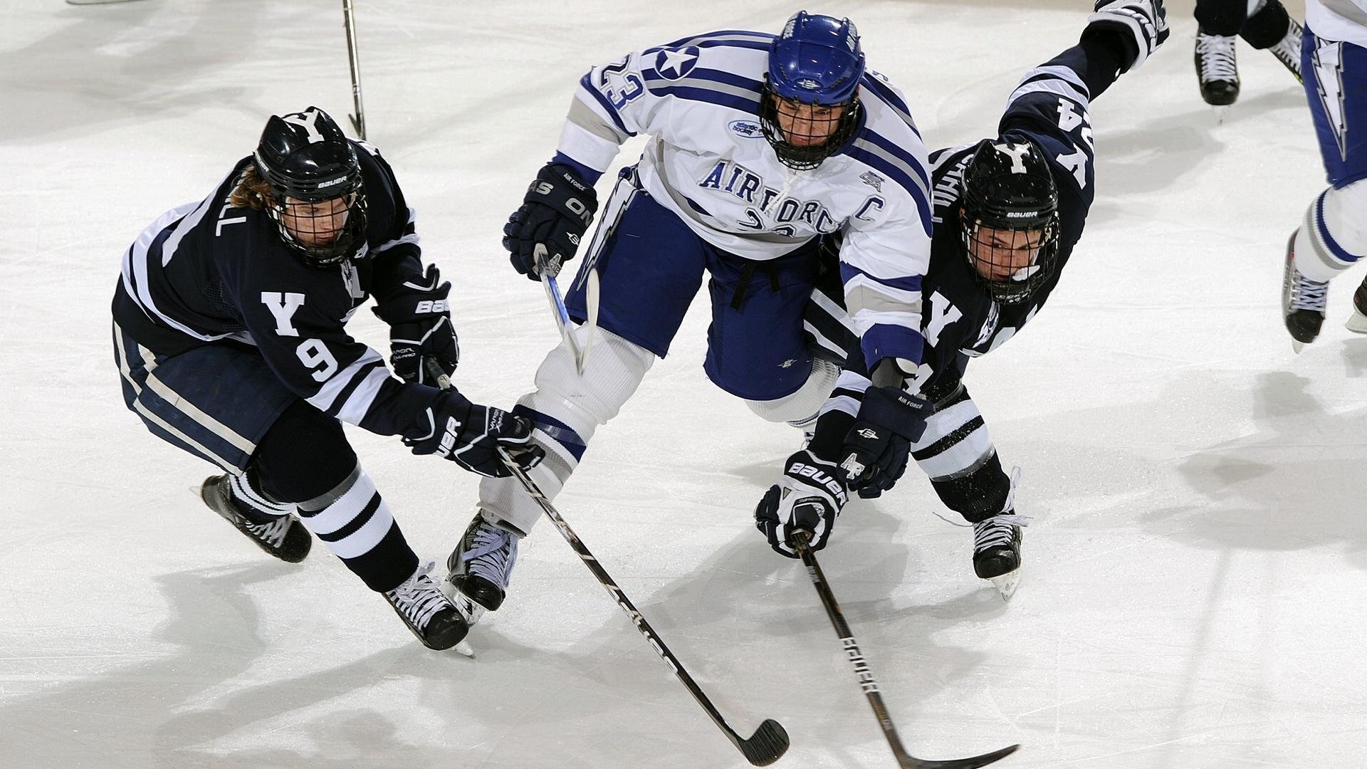 俱乐部举办球迷文化节 丰富赛季配套活动，球迷俱乐部是干嘛的